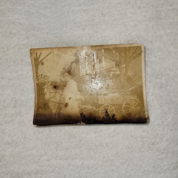 Antique Photo Western Woman Goat Carriage House Studio Photography 1800s Photos - Picture 2 of 6